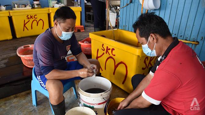 A pair of workers at Hong Kong Mooi Fishery in Bagan Sekinchan deskin squids before packing them for sale. (Photo: Vincent Tan)