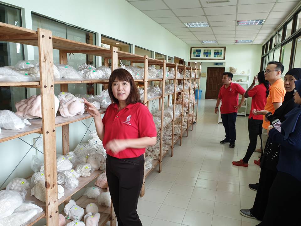 Prof. Aileen Tan showing the largest coral collection in Malaysia. Fascinating.