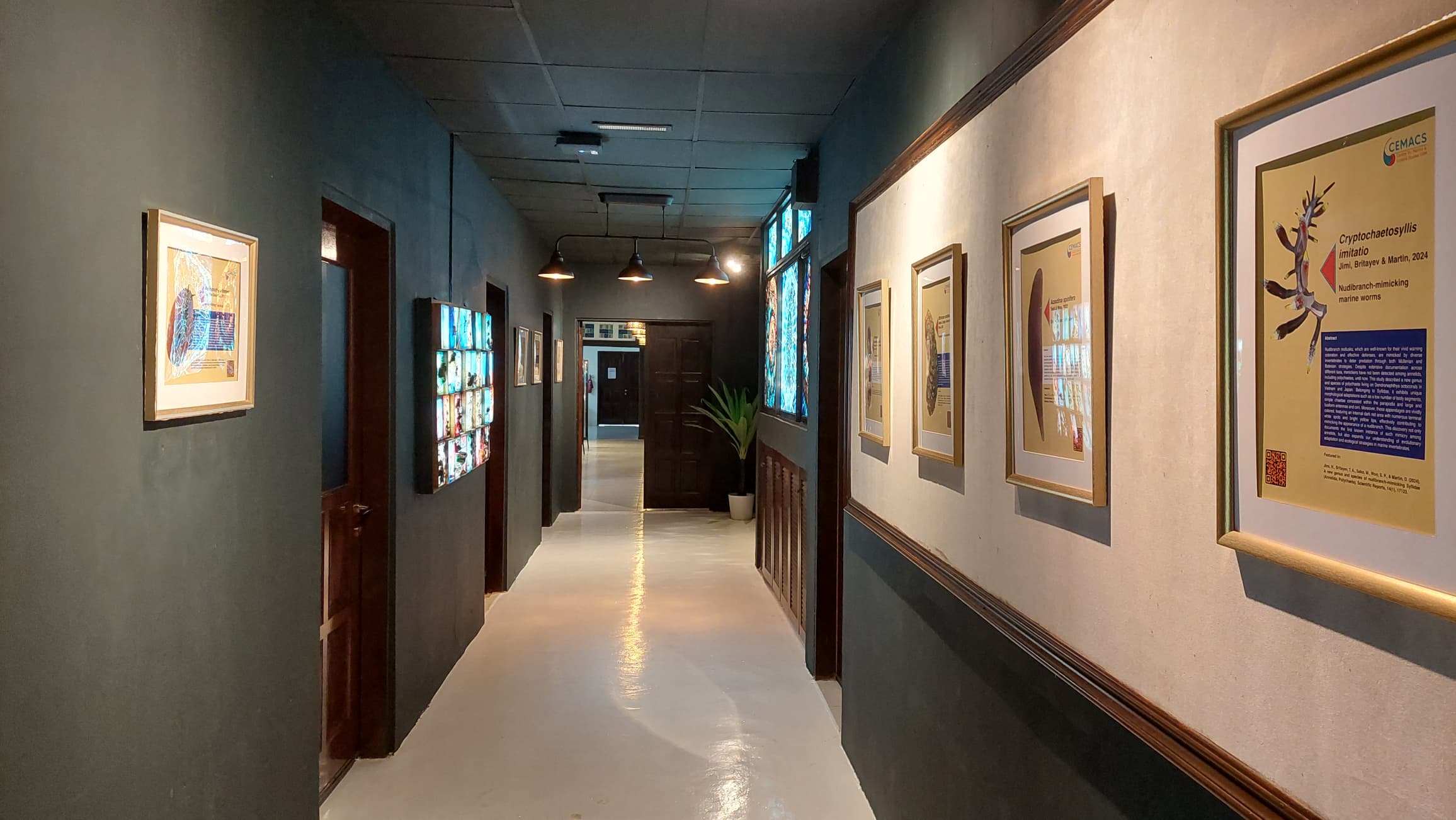 Hall of Fame