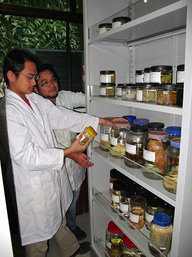 Wet_specimen_cataloging.jpg