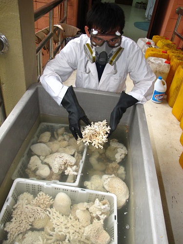 Wet_specimen_cleaning_and_sorting.jpg