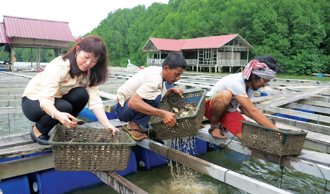 Transferring knowledge of sustainable oyster farming from Universiti Sains Malaysia to the coastal communities. Photo by: CEMACS