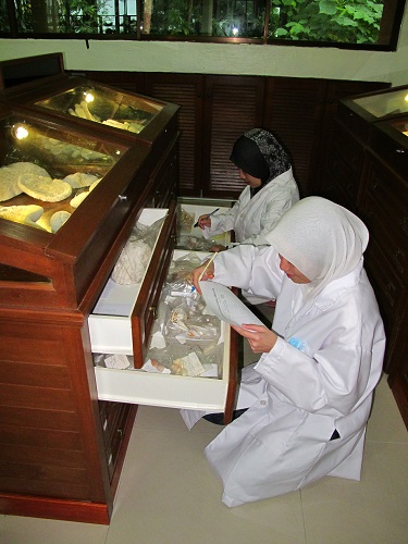 dry_specimen_storing.jpg