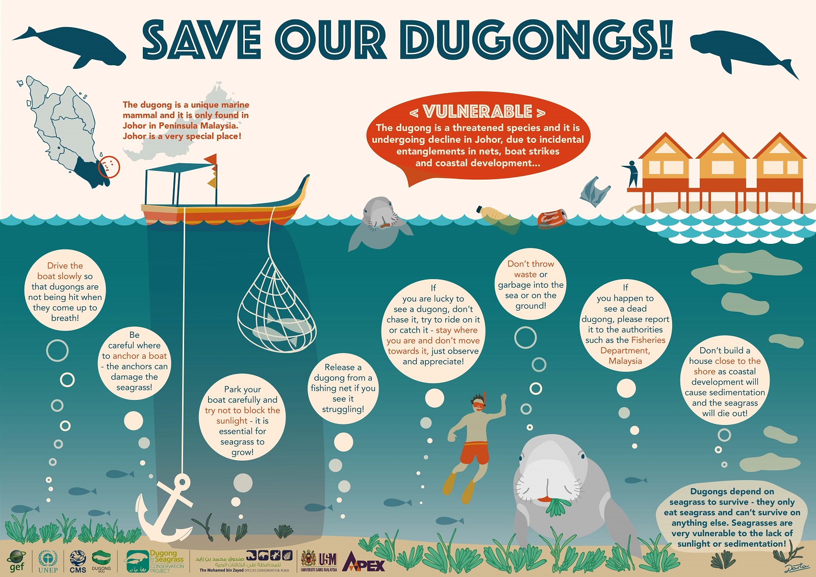 savedugongs-01.jpg