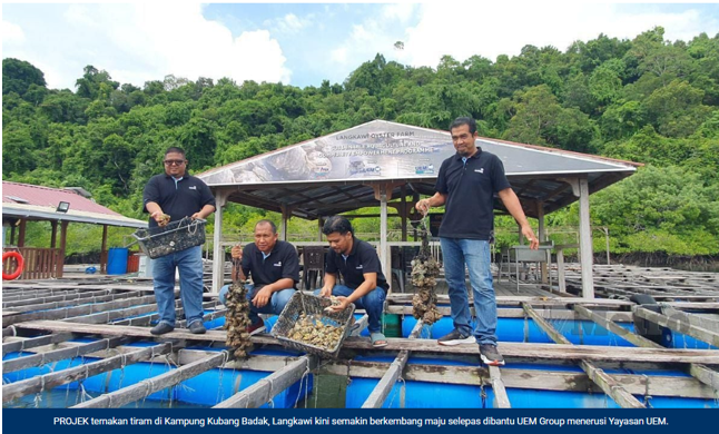 Oyster Farm Visit